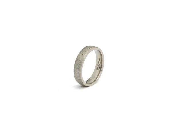Juwelen voor Heren - Gemini | Titanium