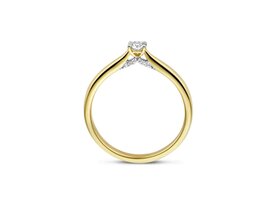 Ringen Solitairs - Dulci-nea 18kt | Geel Goud 18kt
