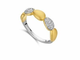 Ringen - Verguld goud | Silver Rose