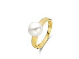 Ringen - Geel Goud 18kt | Goud 18 Karaat