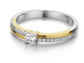 Ringen - Zilver | Silver Rose