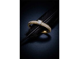 Ringen - Zilver | Silver Rose