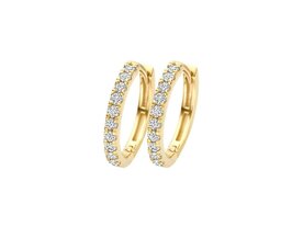 Oorbellen - Blush jewels | Goud 14kt