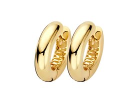 Oorbellen - Blush jewels | Goud 14kt