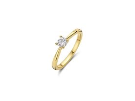 Ringen - Blush jewels | Goud 14kt