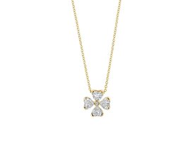 Halsketting - Blush jewels | Goud 14kt