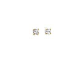 Oorbellen - Blush jewels | Goud 14kt