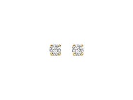 Oorbellen - Blush jewels | Goud 14kt