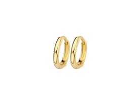 Oorbellen - Blush jewels | Goud 14kt