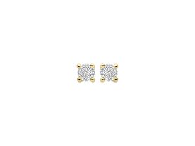 Oorbellen - Blush jewels | Goud 14kt