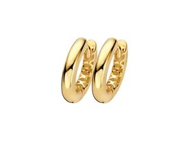 Oorbellen - Blush jewels | Goud 14kt