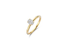 Ringen - Blush jewels | Goud 14kt