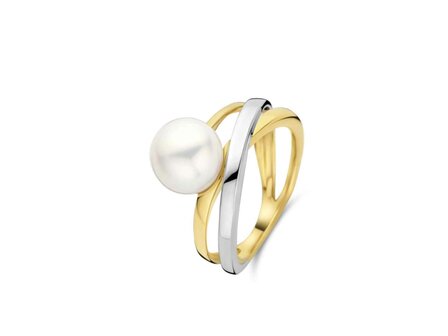 Ringen - Goud 18 Karaat | Goud bicolor 18kt