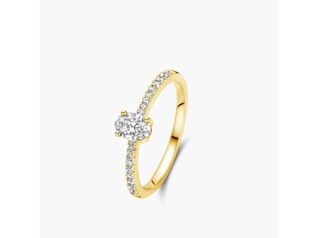 Ringen - Goud 18 Karaat | Geel Goud 18kt