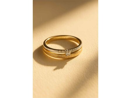 Ringen - Goud 18 Karaat | Geel Goud 18kt
