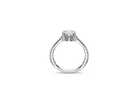 Ringen - Swarovski | Verzilverd