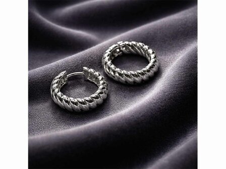 Oorbellen - Ti Sento | Zilver