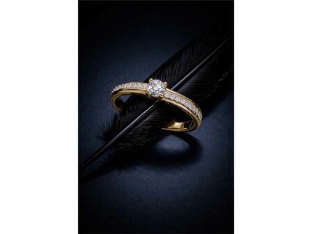 Ringen - Zilver | Silver Rose