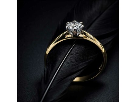 Ringen Solitairs - Geel Goud 18kt | Eigen merk