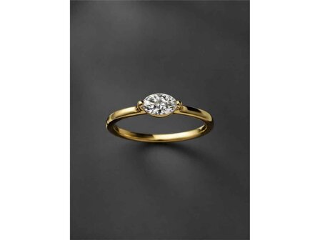 Ringen - Geel Goud 18kt | Eigen merk