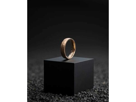 Juwelen voor Heren - Gemini | Titanium
