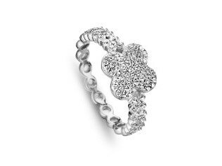 Ringen - Zilver | Silver Rose