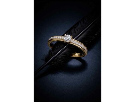 Ringen - Zilver | Silver Rose