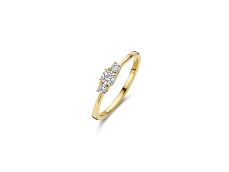 Ringen - Blush jewels | Goud 14kt