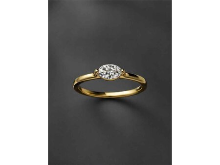 Ringen - Geel Goud 18kt | Eigen merk