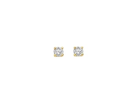Oorbellen - Blush jewels | Goud 14kt