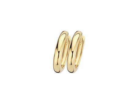 Oorbellen - Blush jewels | Goud 14kt