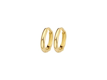 Oorbellen - Blush jewels | Goud 14kt