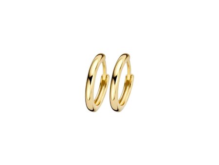 Oorbellen - Blush jewels | Goud 14kt