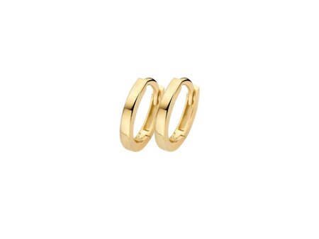Oorbellen - Blush jewels | Goud 14kt