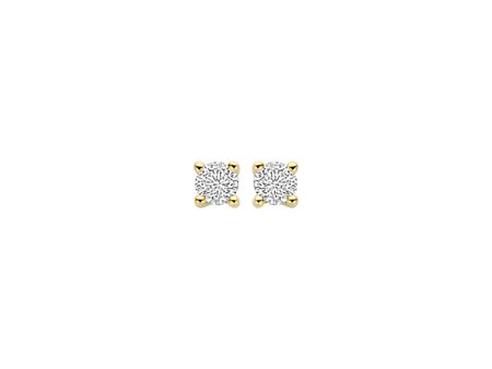 Oorbellen - Blush jewels | Goud 14kt