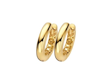Oorbellen - Blush jewels | Goud 14kt
