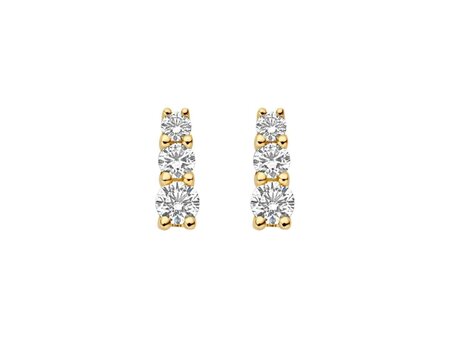 Oorbellen - Blush jewels | Goud 14kt