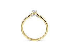 Ringen Solitairs - Dulci-nea 18kt | Geel Goud 18kt