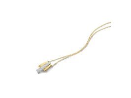 Hanger - Dulci-nea 18kt | Goud bicolor 18kt