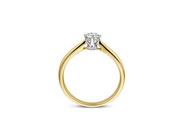 Ringen Solitairs - Dulci-nea 18kt | Goud bicolor 18kt