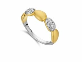 Ringen - Silver Rose | Verguld goud