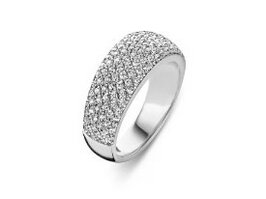 Ringen - Silver Rose | Zilver