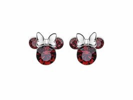 Oorbellen - Disney zilver