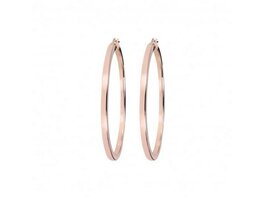 Oorbellen - Bronzallure | Verguld Rosé