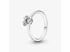 Ringen - Pandora | zilver