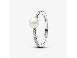 Ringen - Pandora | Zilver