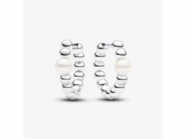 Oorbellen - Pandora | Zilver