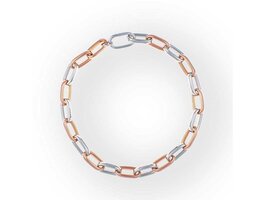 Halsketting - Pesavento | Bicolor zilver en verguld